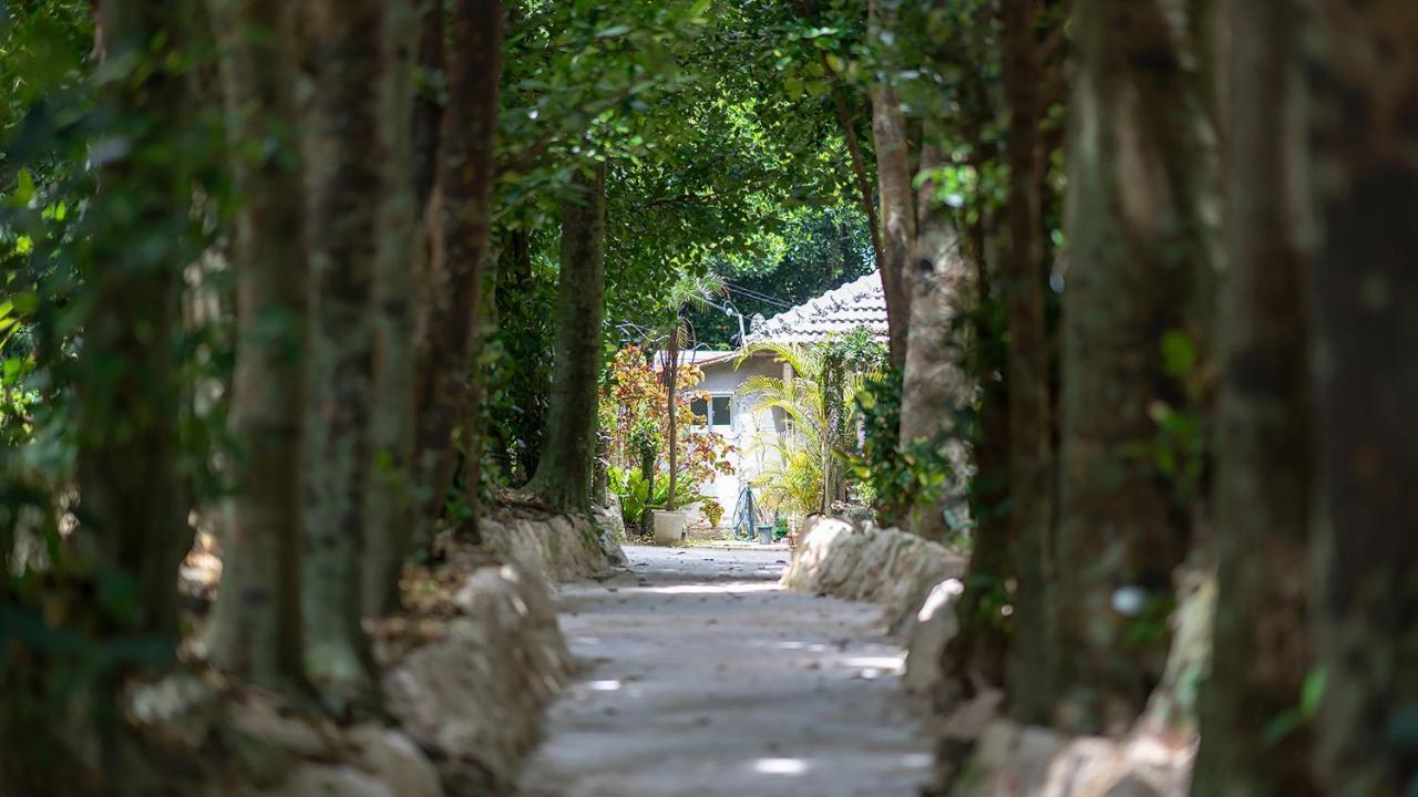 La Ohana～瀬底島～（2022年open） Okinawa Exterior foto